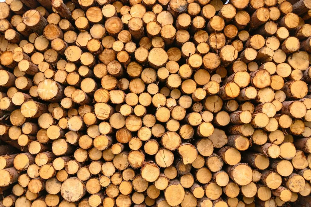Timber-alchom